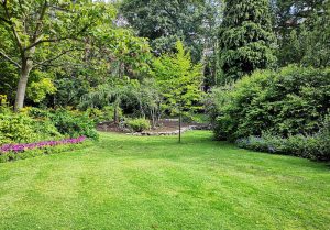 Optimiser l'expérience du jardin à La Neuvelle-les-Scey